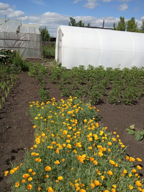 Продажа дома СНТ Полянка-2