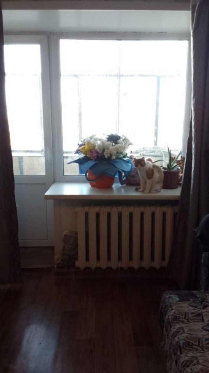 1-комн квартира Половинская улица, 6