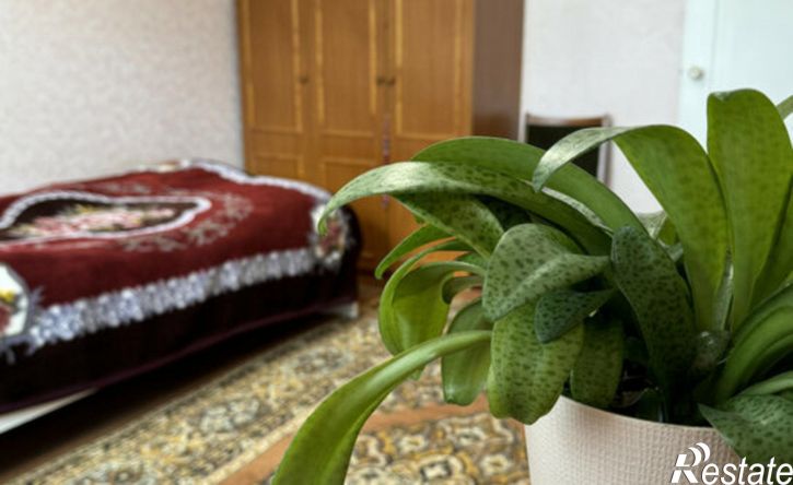 3-комн квартира улица Белинского, 20,  д. 20