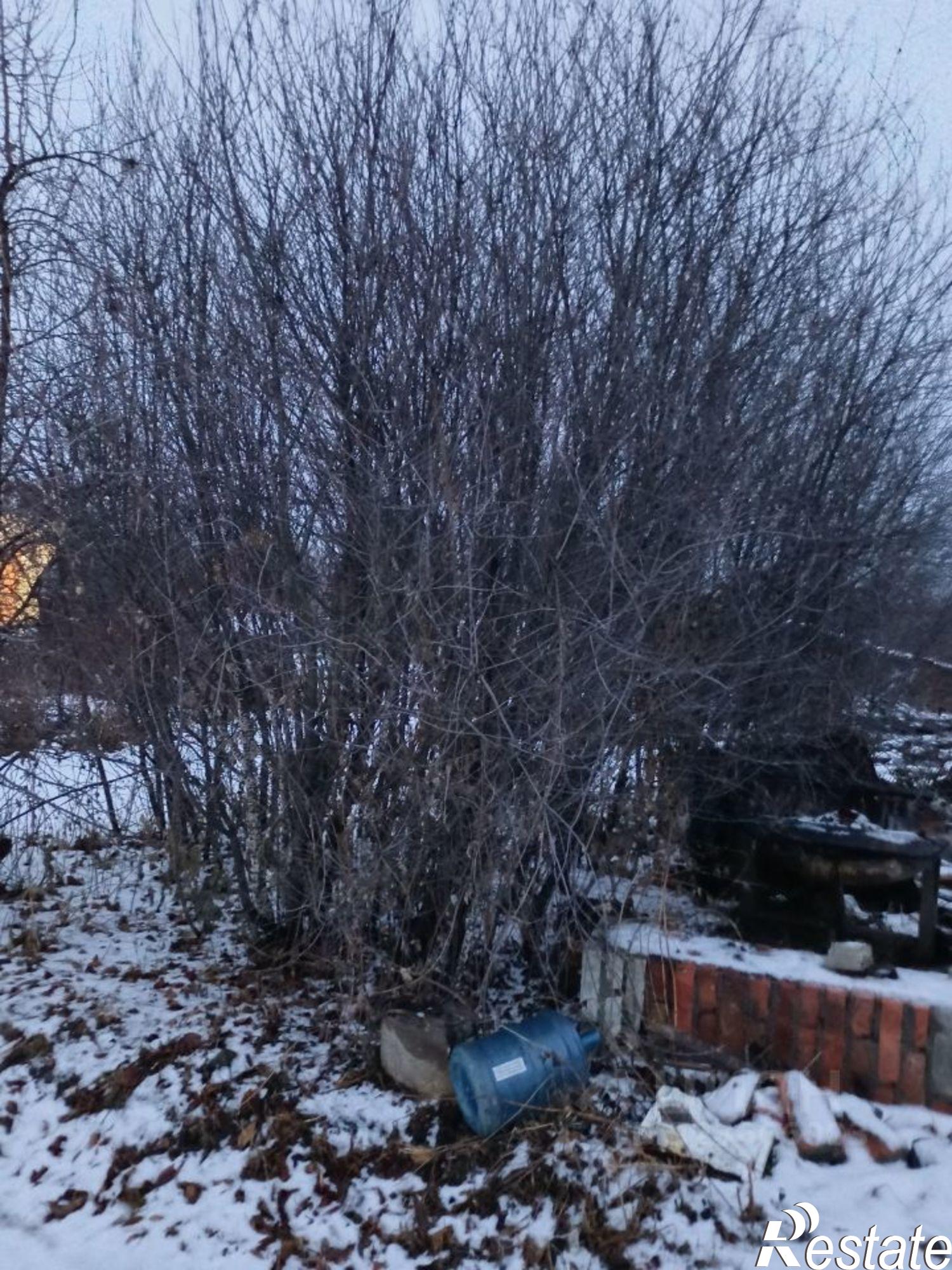 Купить дачу, дом, коттедж за 250 000 рублей на Кольцевая улица, СНТ Дрожжевик