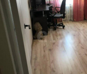 3-комн, 56кв м, этаж 3/5 ул Гоголя, 72