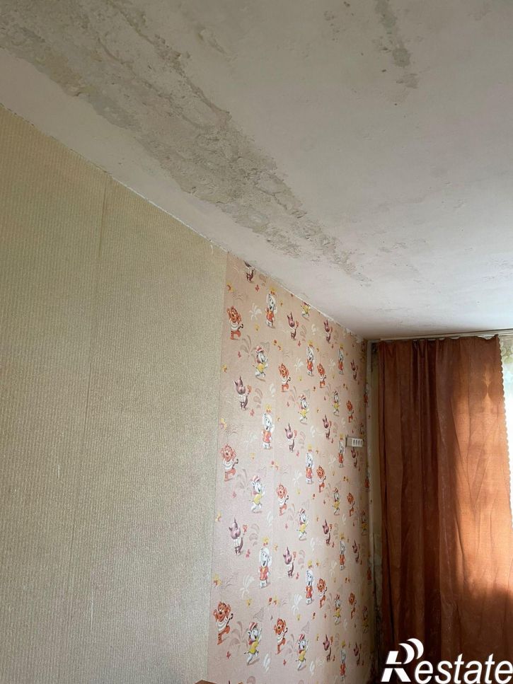 Комната Конституции, 79