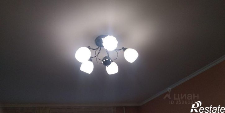 1-комн квартира улица Криволапова, 10,  д. 10