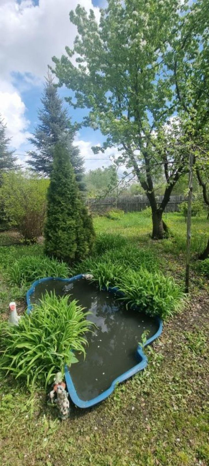Коттедж/дом СНТ Прогон
