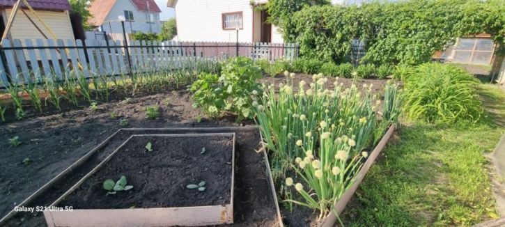 Коттедж/дом Космонавтов  улица (Черемухово)