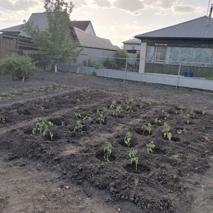 Коттедж/дом Чайковского улица