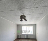 комната 16 кв м улица Бурова-Петрова, 97Б