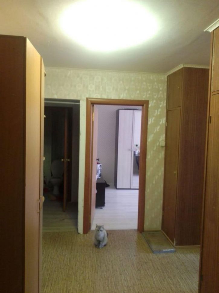 2-комн квартира Криволапова улица, 22