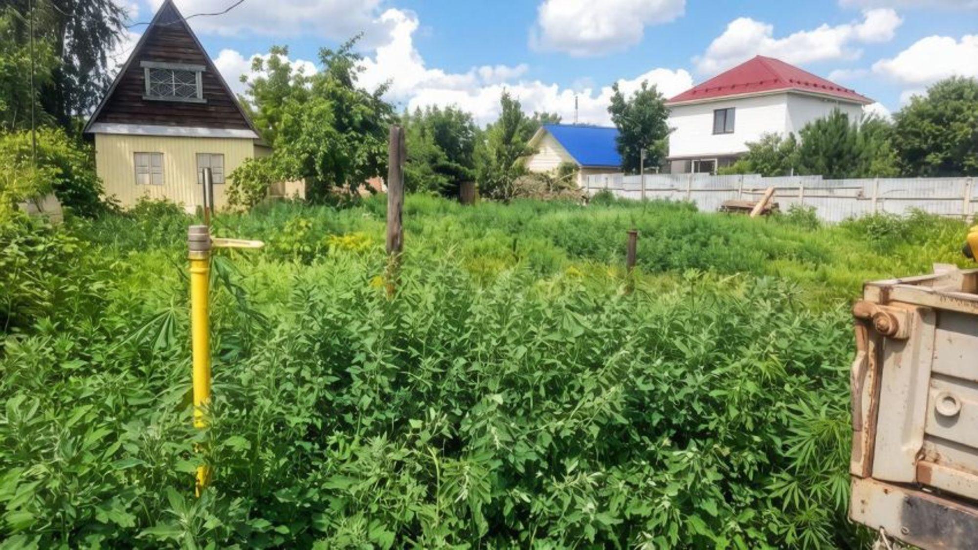 Купить дачу, дом, коттедж за 550 000 рублей на СНТ Садовод-любитель, 312