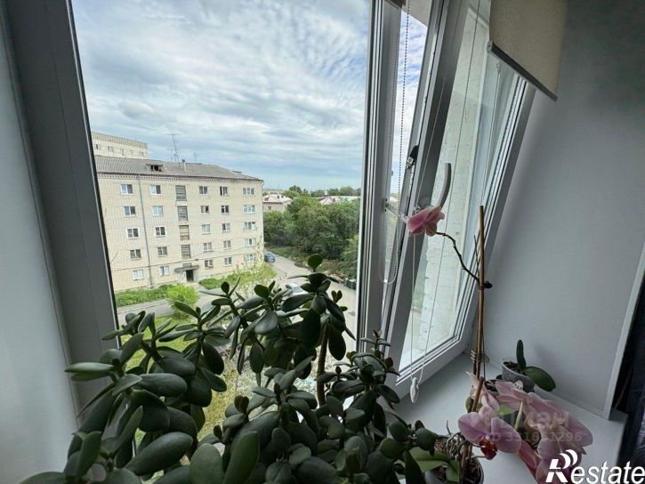 1-комн квартира ул Половинская, 8а,  д. 8а