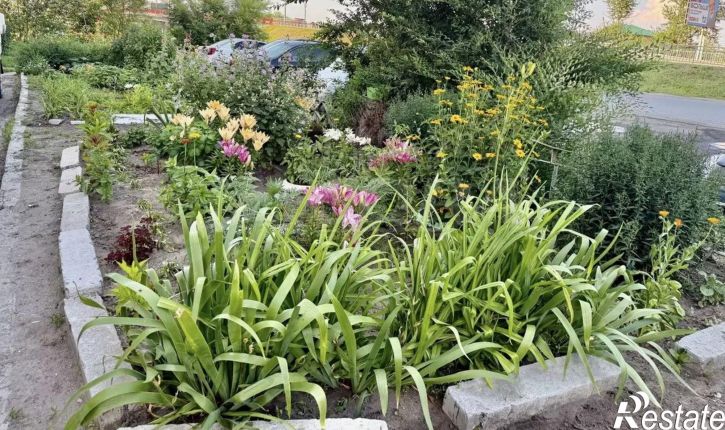 Комната ул Бурова-Петрова, 97б,  д. 97б