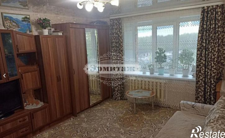 1-комн квартира ул Алексеева, 4,  д. 4