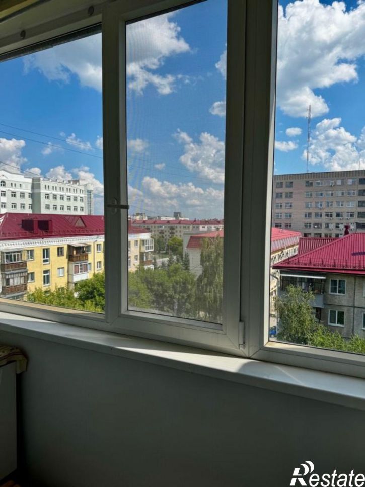 3-комн квартира Пушкина улица, 91