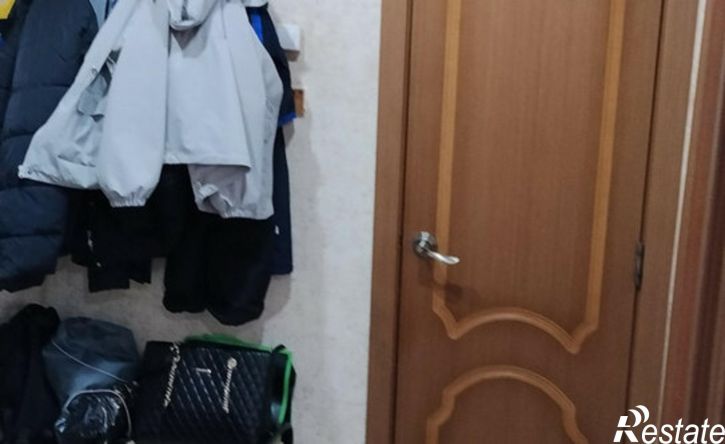 1-комн квартира ул Алексеева, 4,  д. 4